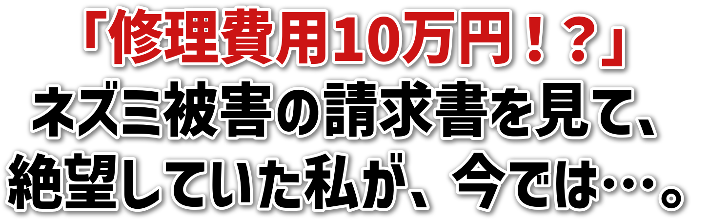 uCp10~IHv<br>lY~Q̐āA<br>]ĂAł́cB