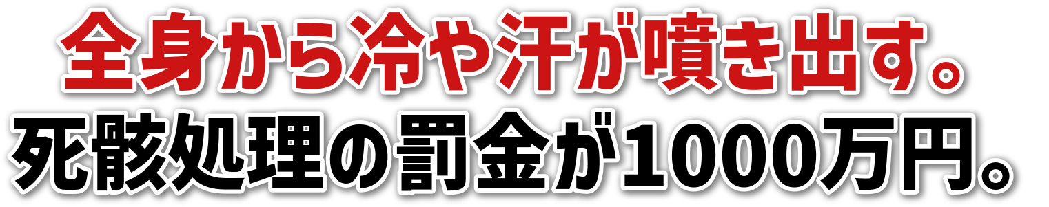 Sg⊾oB<br>[̔1000~B
